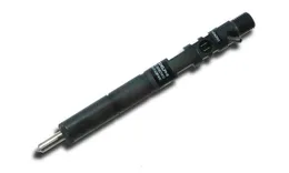 Inyector Genuino Delphi Tata Xenon 2.2 E4 COD. EJBR04901D 28280600