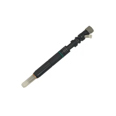 Inyector Genuino Delphi Kia Frontier 2.9 E4 - Kia Bongo 2.9 EJBR05501D 33800-4X450 — Delphi